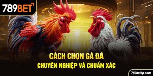 cách chọn gà đá