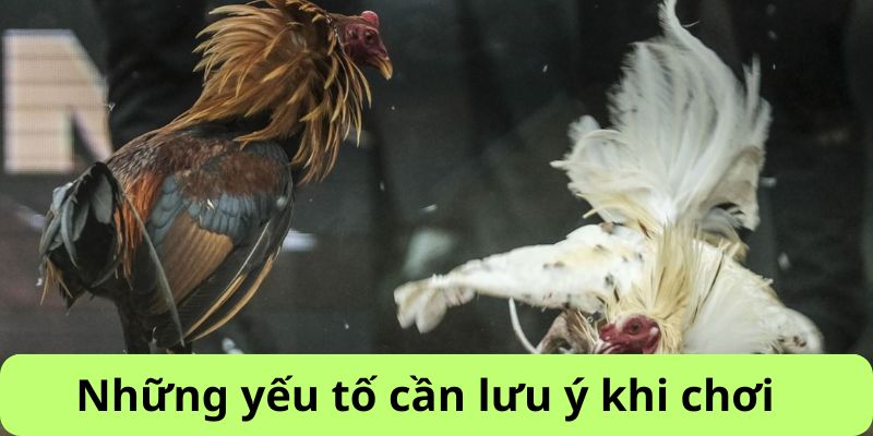 Những điều cần chú ý khi tham gia