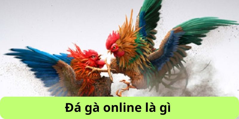 Đá gà online là gì