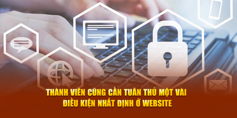 Thành viên cũng cần tuân thủ một vài điều kiện nhất định ở website