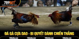 đá gà cựa dao 789bet