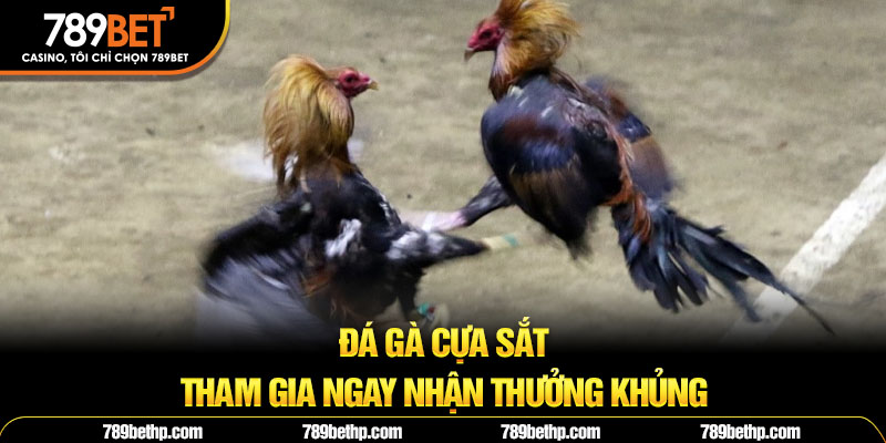 đá gà cựa sắt 789bet