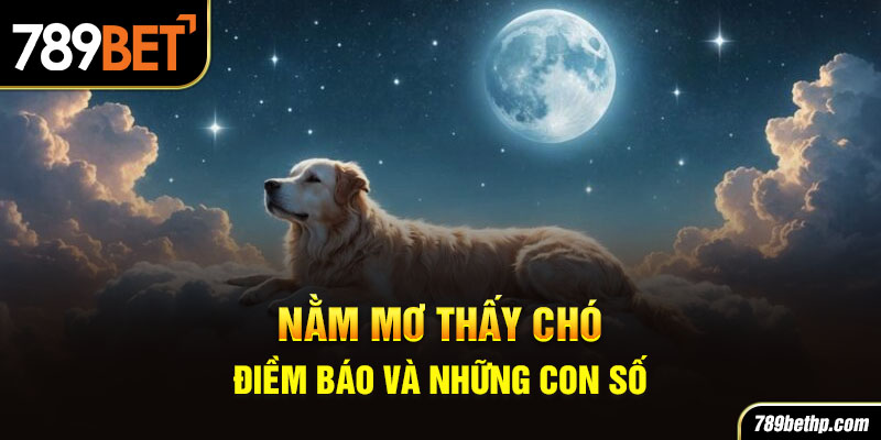 nằm mơ thấy chó