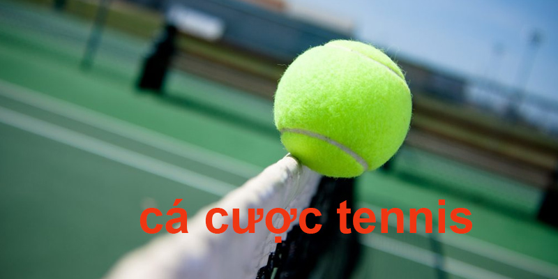 Cá cược tennis hấp dẫn, kịch tính